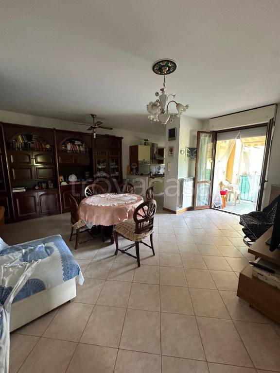 immagine annuncio 9 di 13