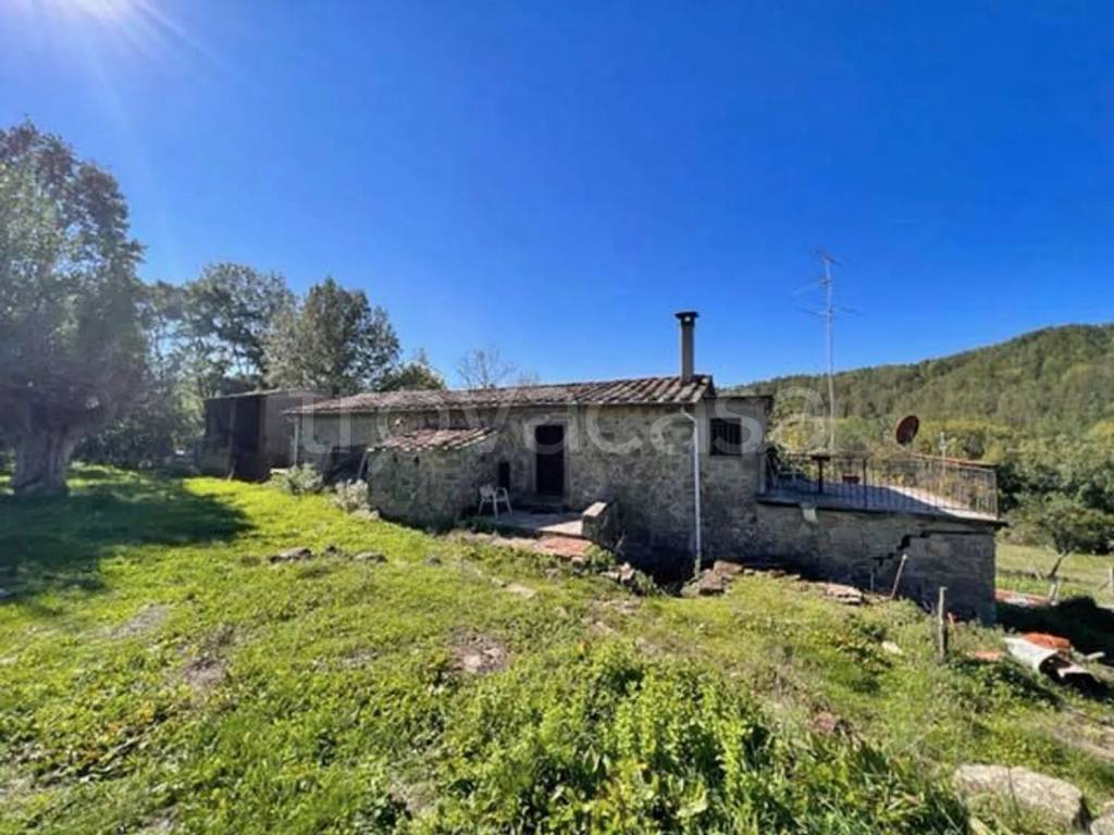 immagine annuncio 2 di 14