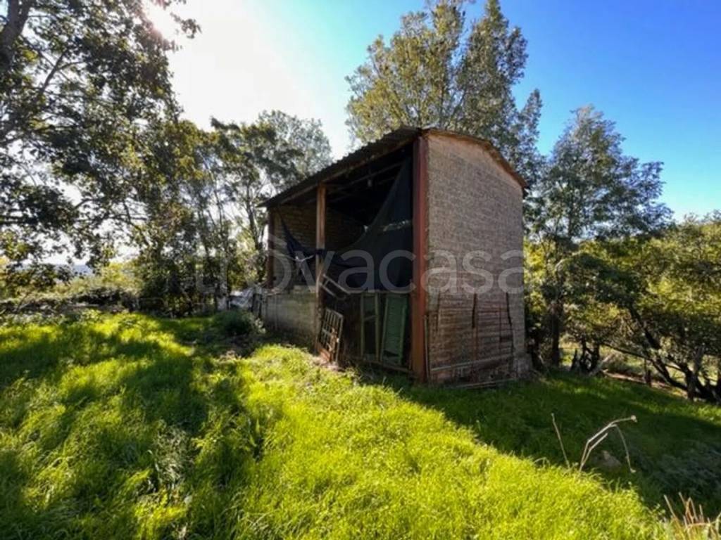 immagine annuncio 3 di 14