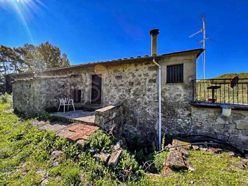 immagine annuncio 4 di 14