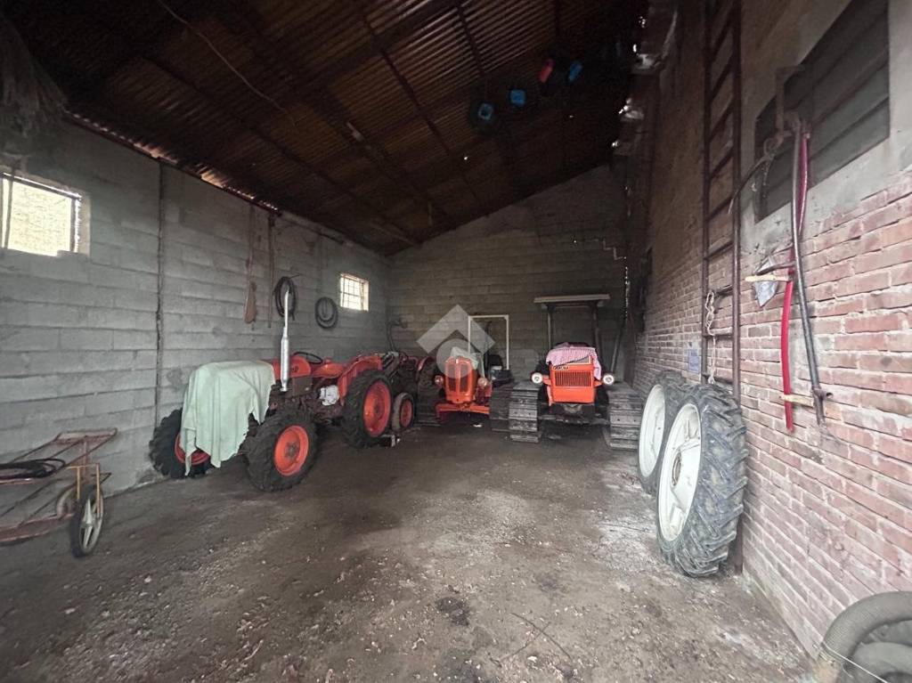 immagine annuncio 7 di 12