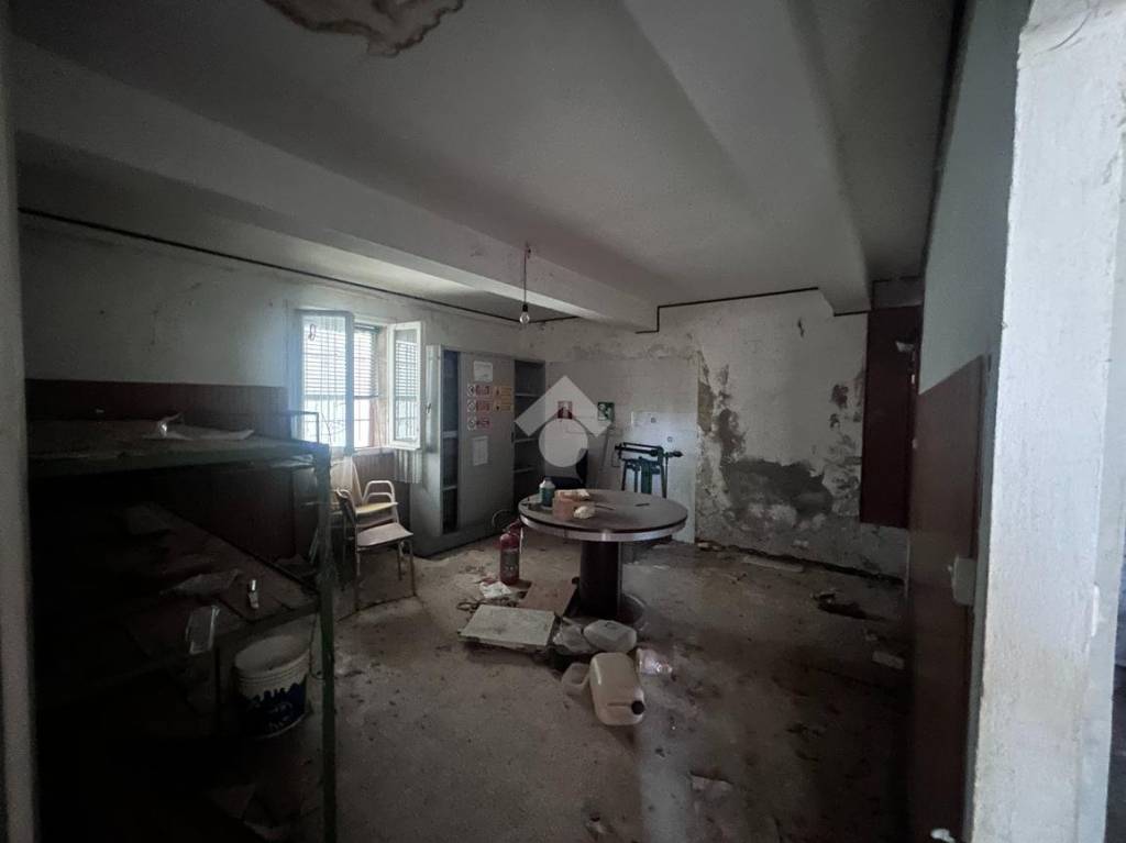 immagine annuncio 9 di 12