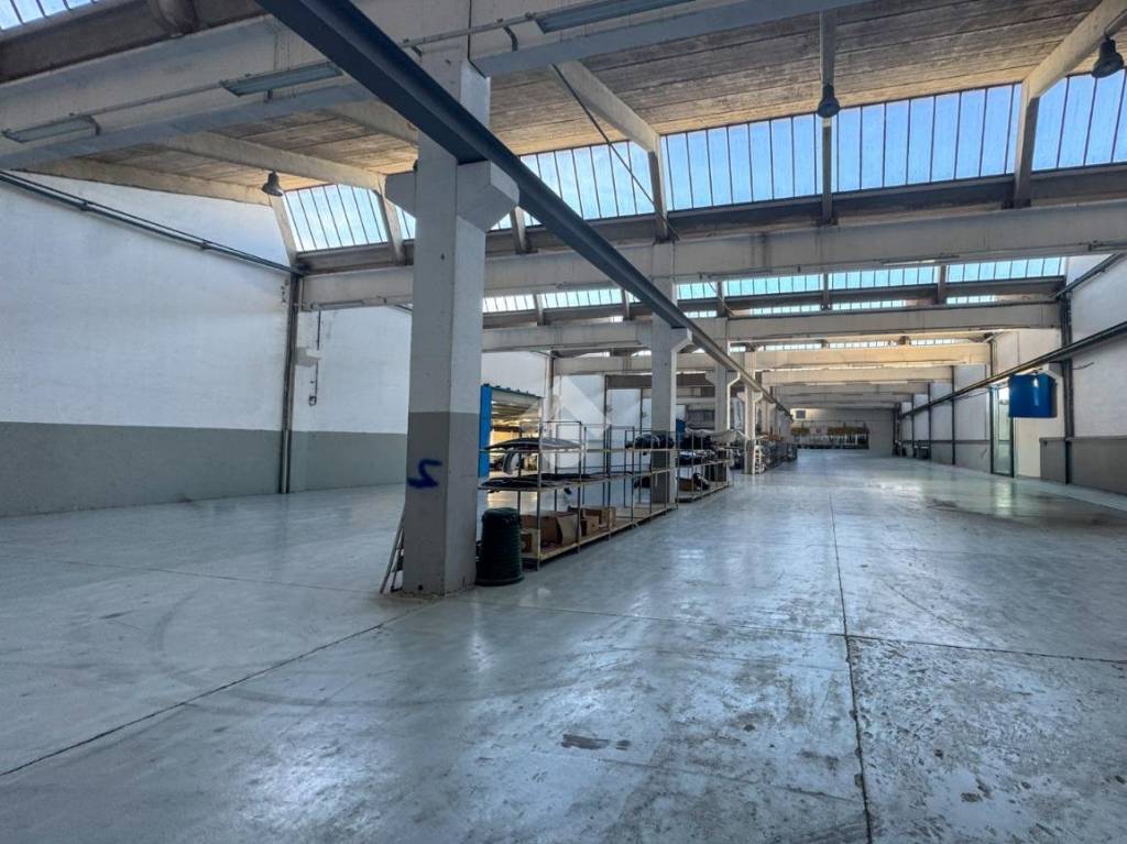 immagine annuncio 11 di 15