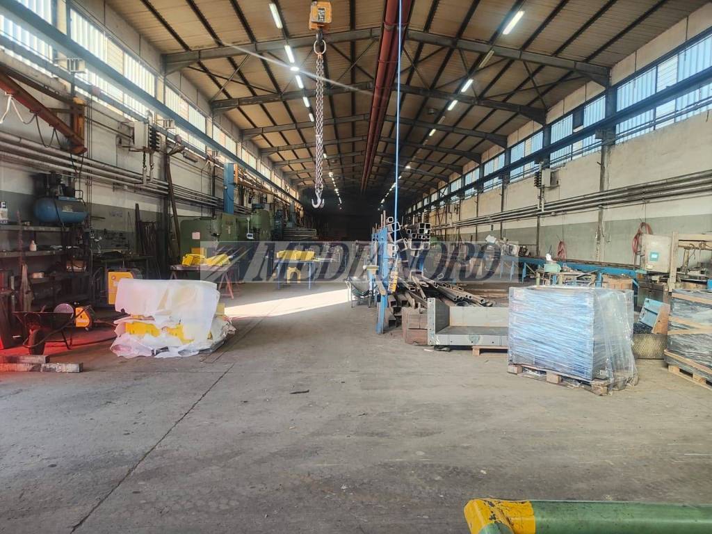 immagine annuncio 2 di 11