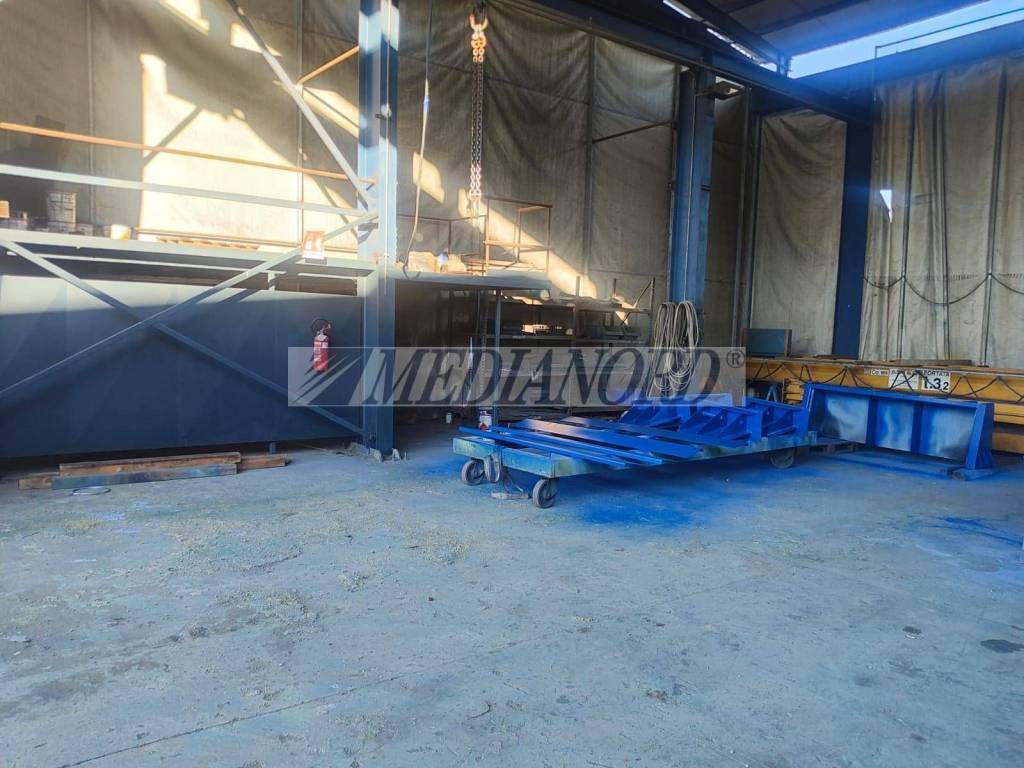 immagine annuncio 3 di 11