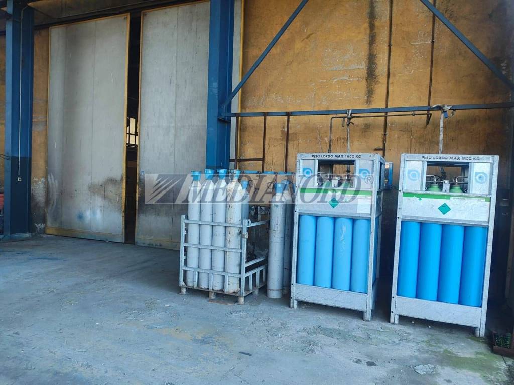 immagine annuncio 5 di 11