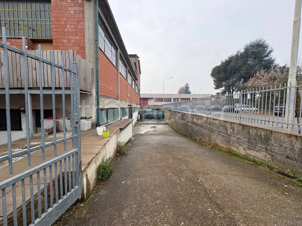 immagine annuncio 2 di 10