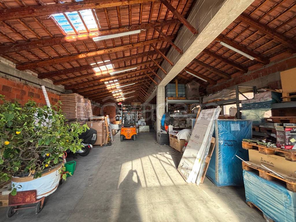 immagine annuncio 11 di 15