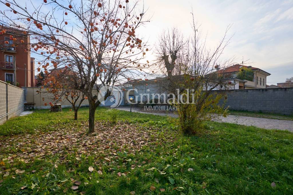 immagine annuncio 11 di 15