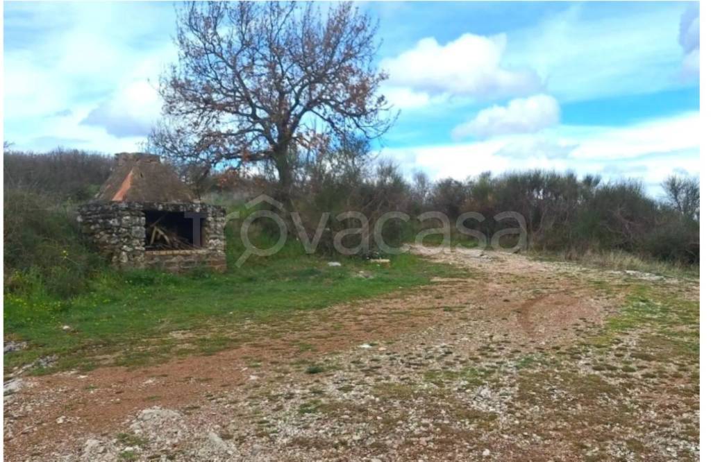 immagine annuncio 7 di 11