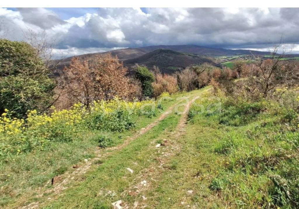 immagine annuncio 8 di 11