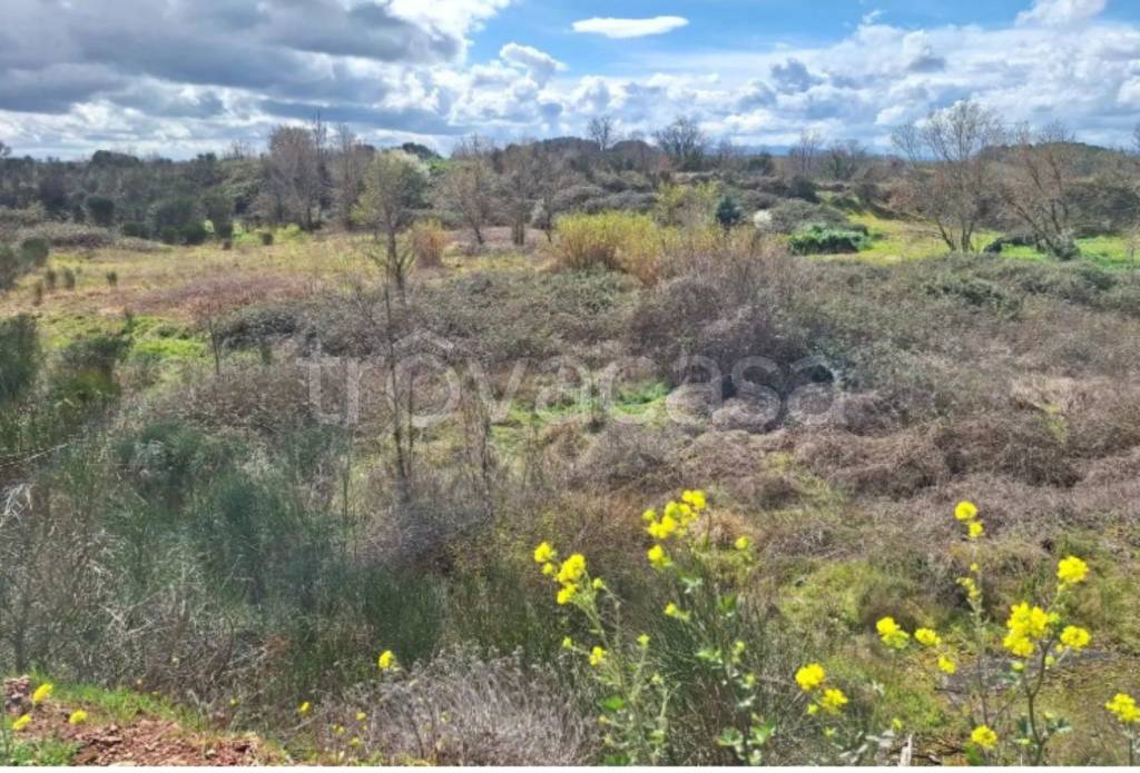 immagine annuncio 9 di 11