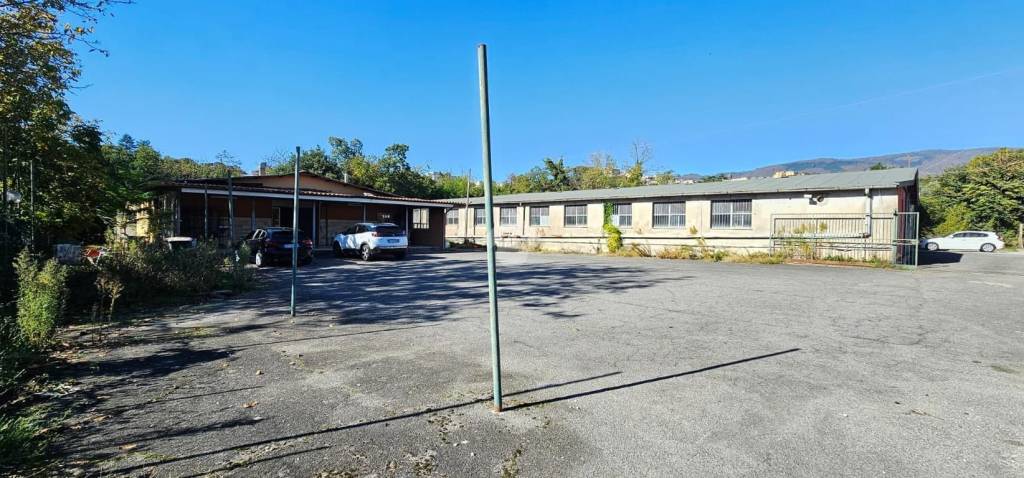 immagine annuncio 1 di 9