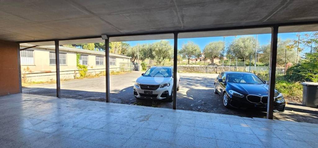 immagine annuncio 4 di 9