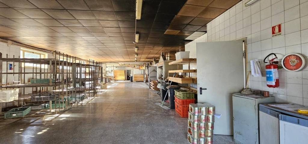 immagine annuncio 5 di 9