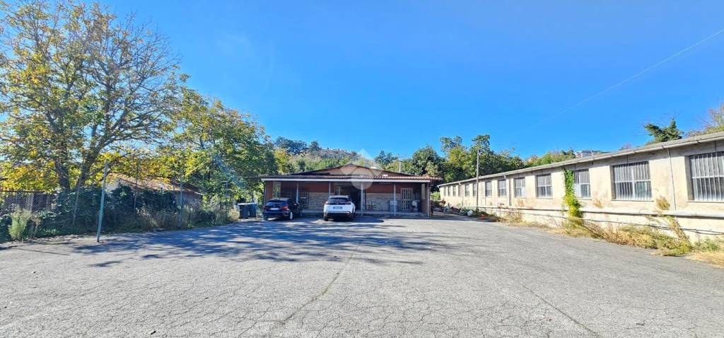 immagine annuncio 7 di 9