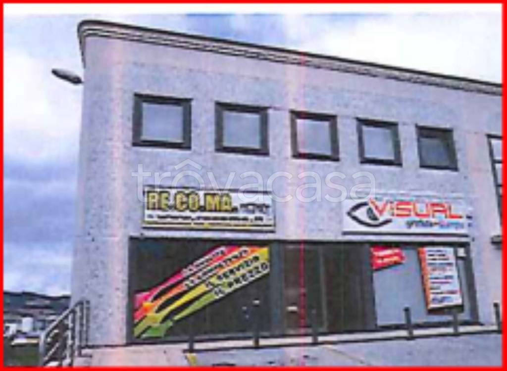 immagine annuncio 1 di 11