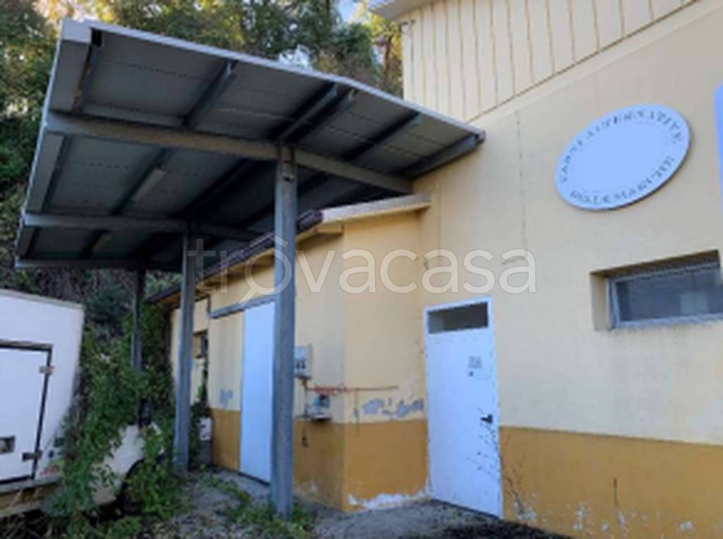 immagine annuncio 2 di 12