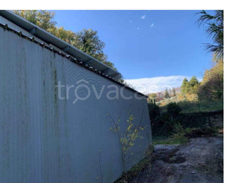 immagine annuncio 8 di 12