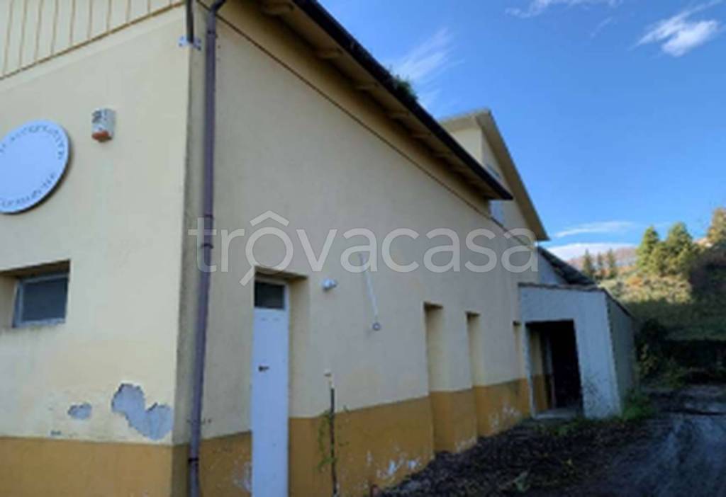 immagine annuncio 9 di 12