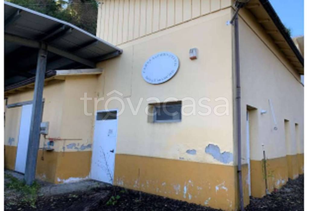 immagine annuncio 11 di 12