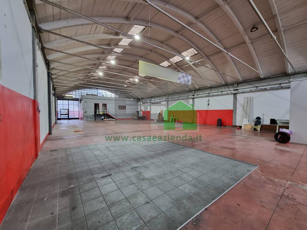 immagine annuncio 2 di 15