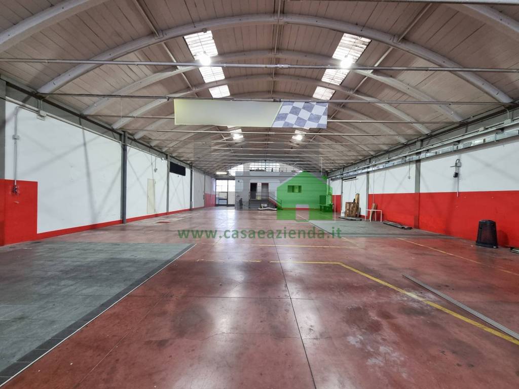 immagine annuncio 4 di 15