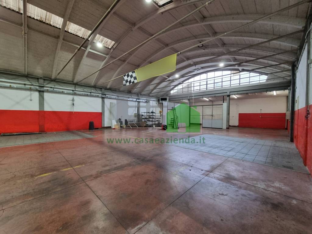 immagine annuncio 8 di 15