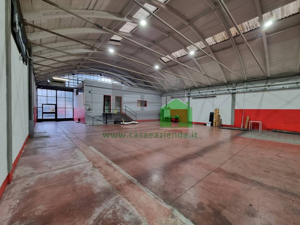 immagine annuncio 9 di 15