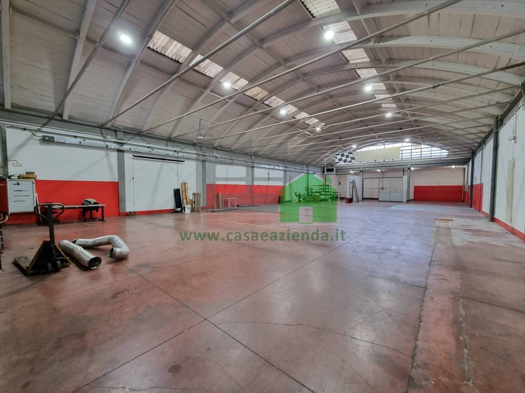 immagine annuncio 10 di 15