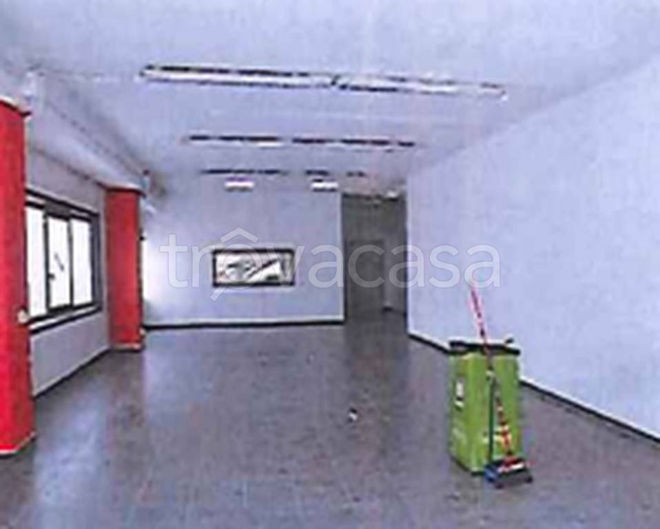 immagine annuncio 4 di 9