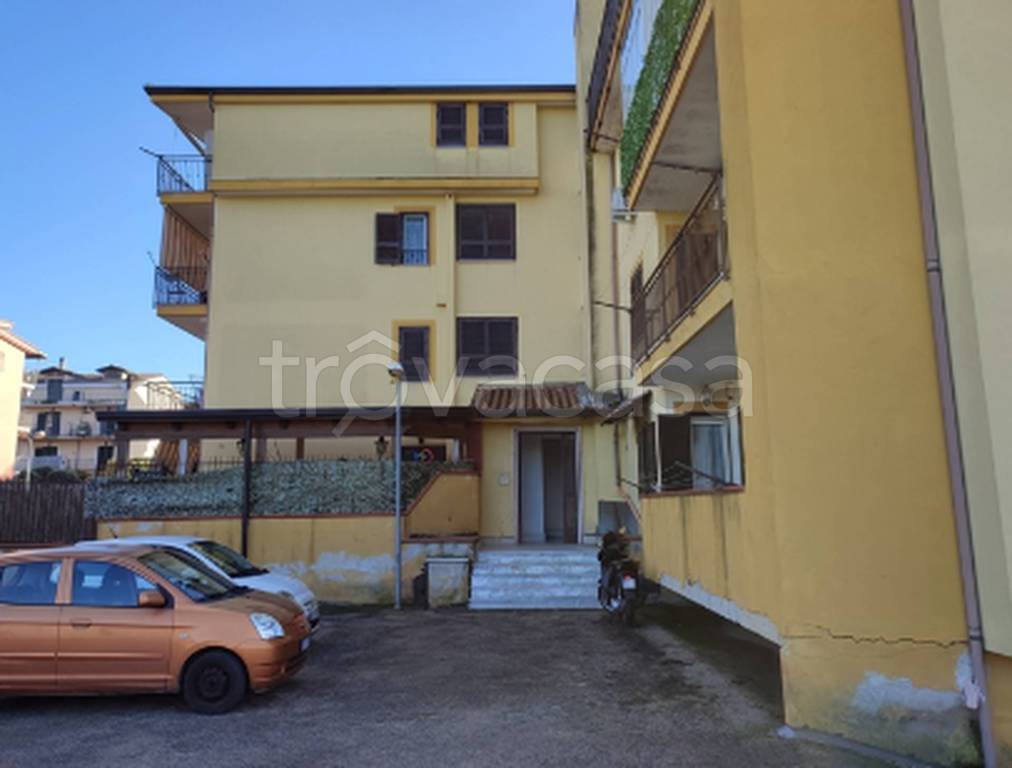 immagine annuncio 5 di 12