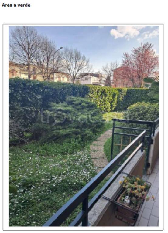 immagine annuncio 2 di 12