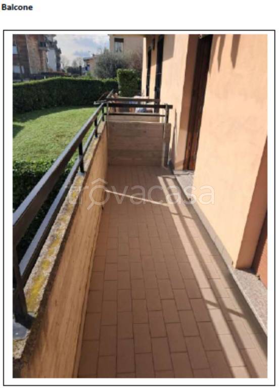 immagine annuncio 3 di 12