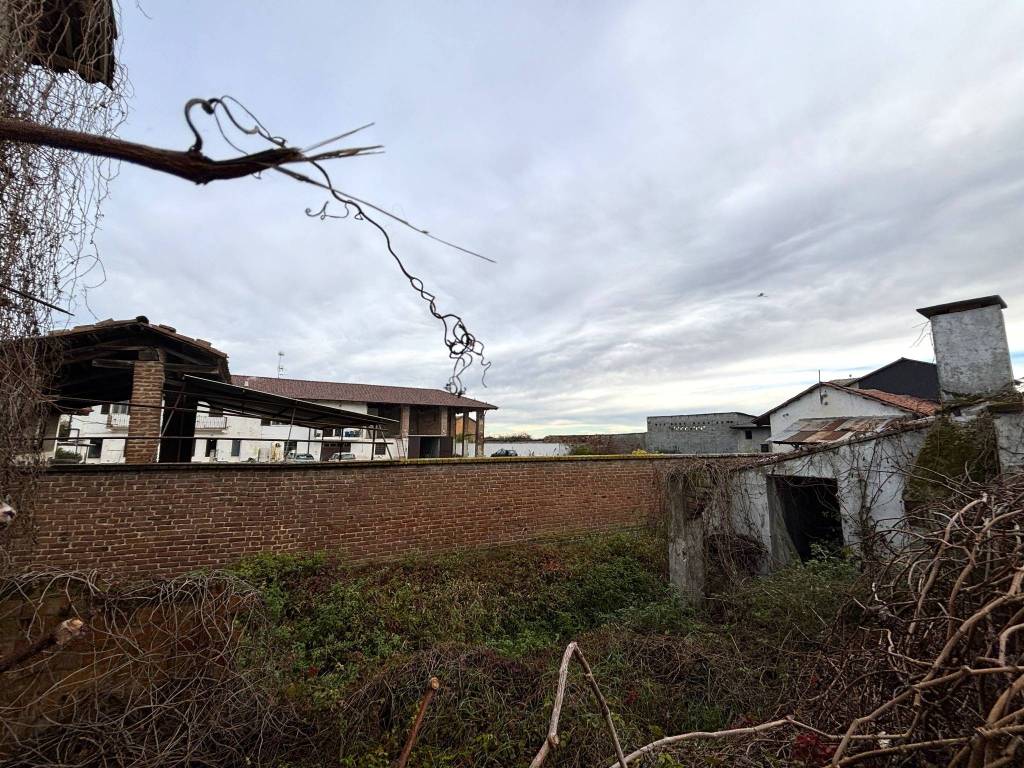 immagine annuncio 5 di 7