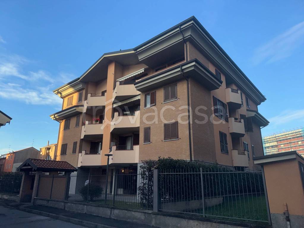 immagine annuncio 2 di 15