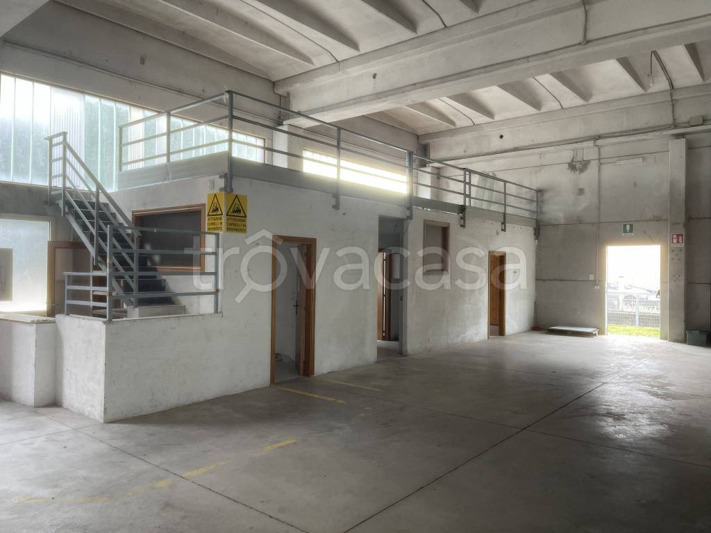 immagine annuncio 6 di 14