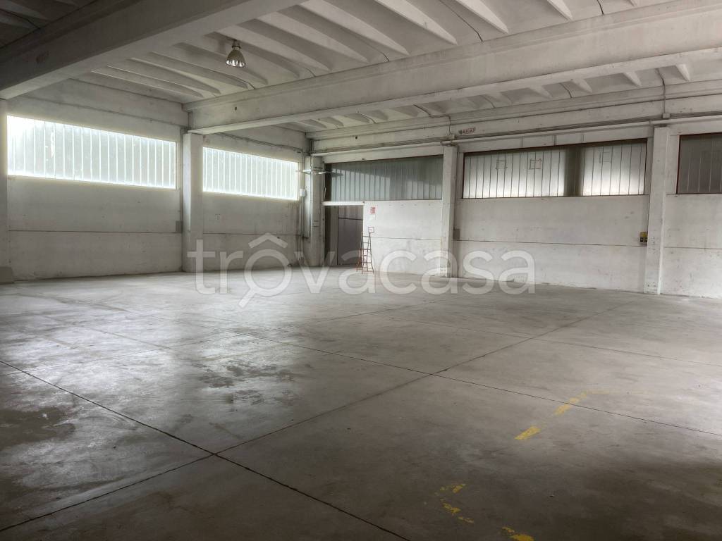 immagine annuncio 8 di 14