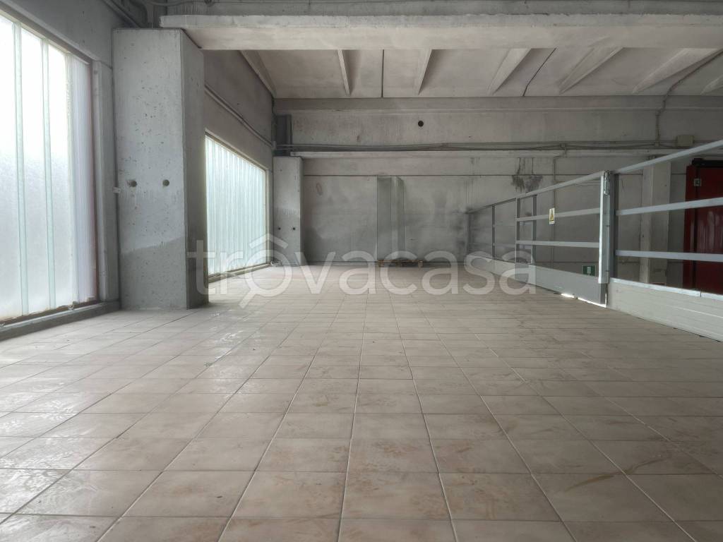 immagine annuncio 12 di 14