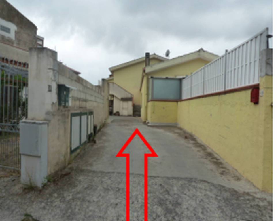 immagine annuncio 5 di 11