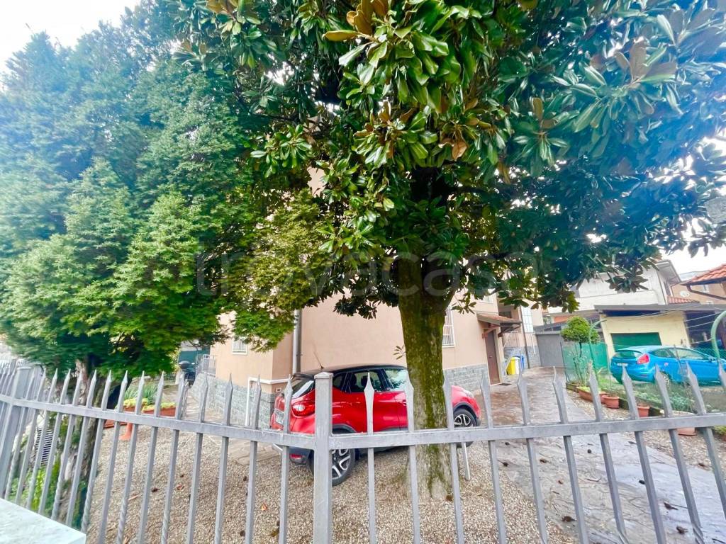 immagine annuncio 2 di 8