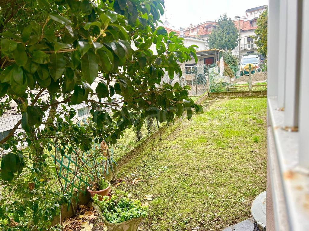 immagine annuncio 3 di 8