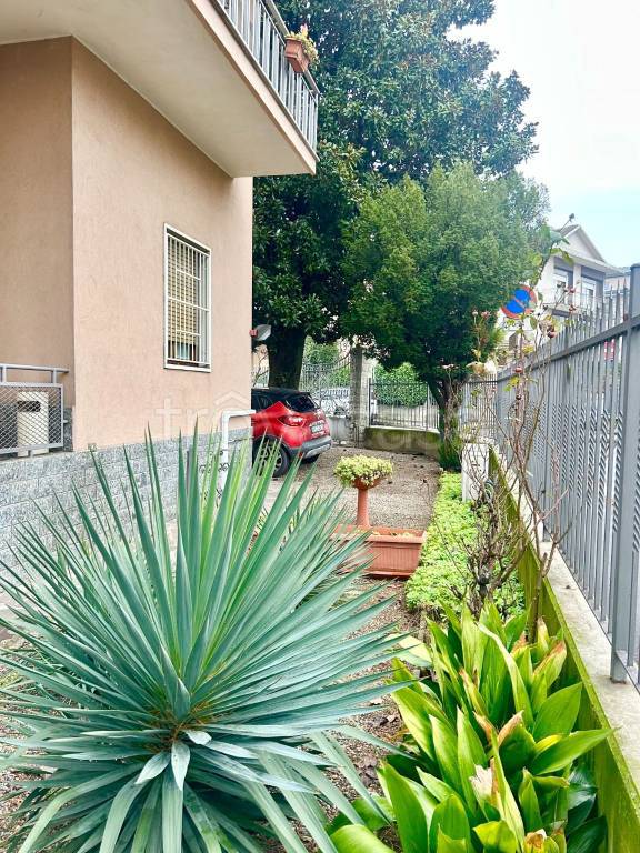 immagine annuncio 4 di 8