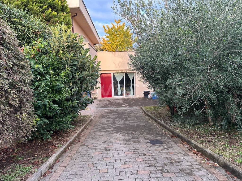 immagine annuncio 8 di 15