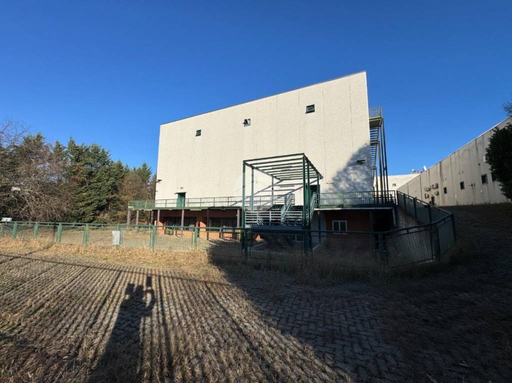 immagine annuncio 5 di 15