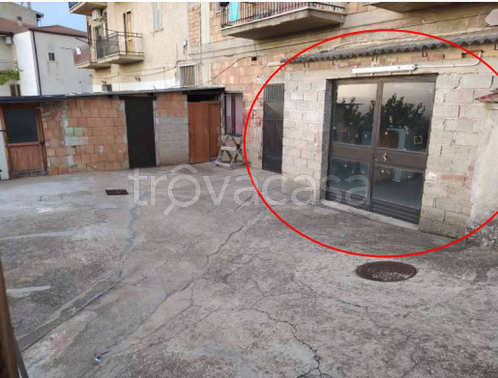 immagine annuncio 5 di 11