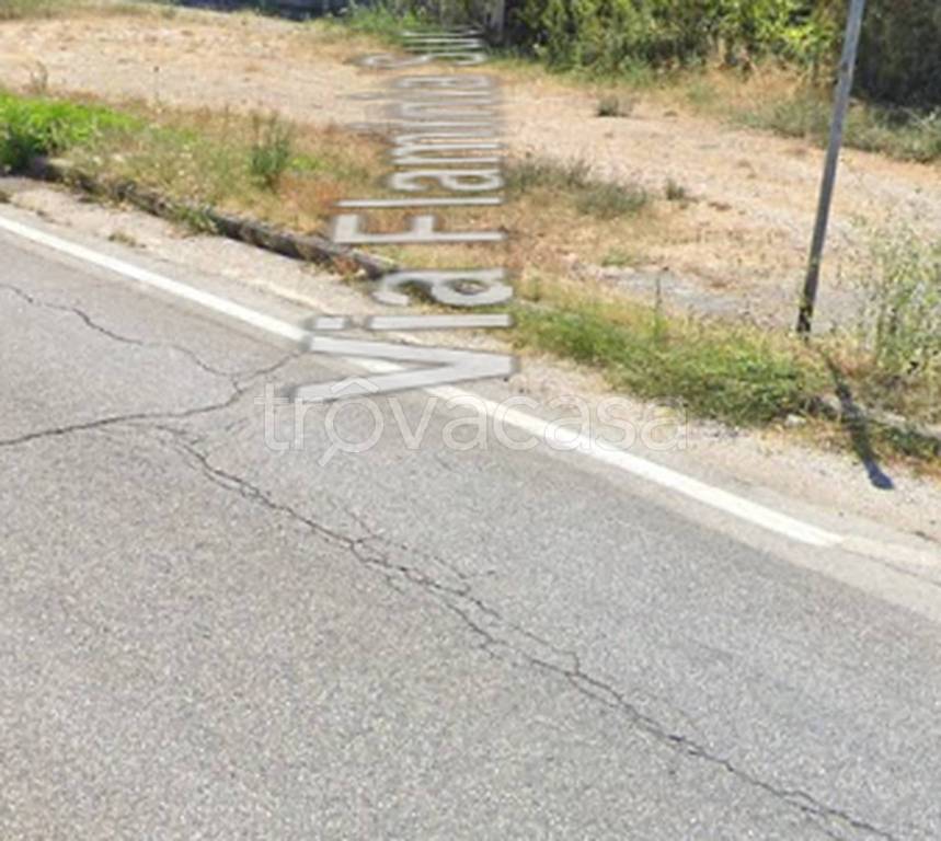 immagine annuncio 6 di 12