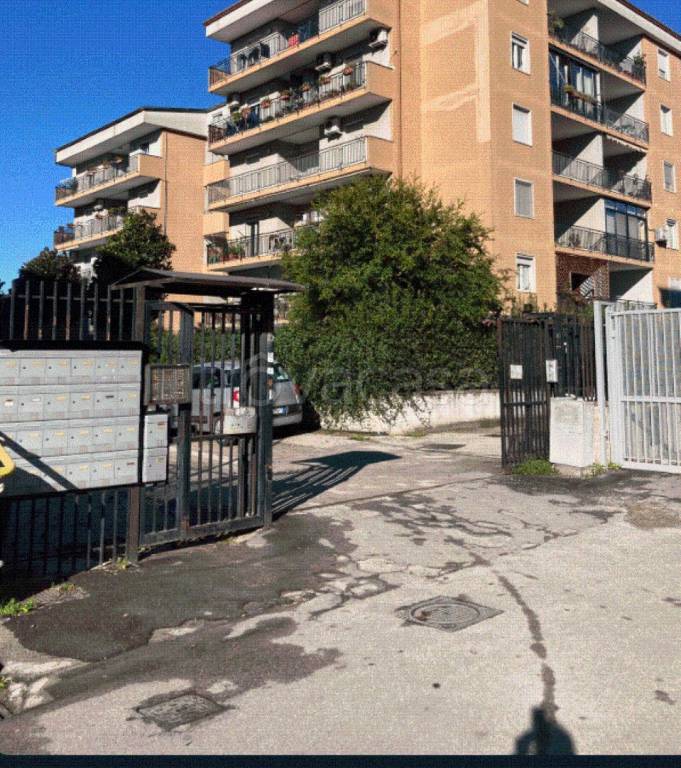 immagine annuncio 10 di 11