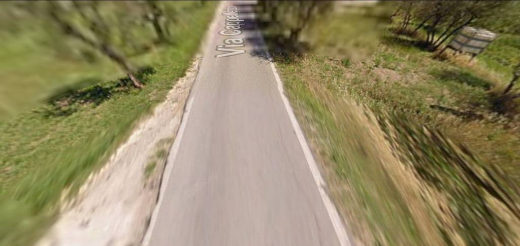 immagine annuncio 3 di 13