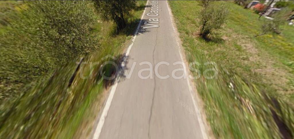 immagine annuncio 6 di 13